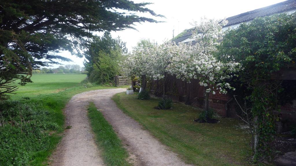 Lockgate Dairy Bed & Breakfast Chichester Dış mekan fotoğraf