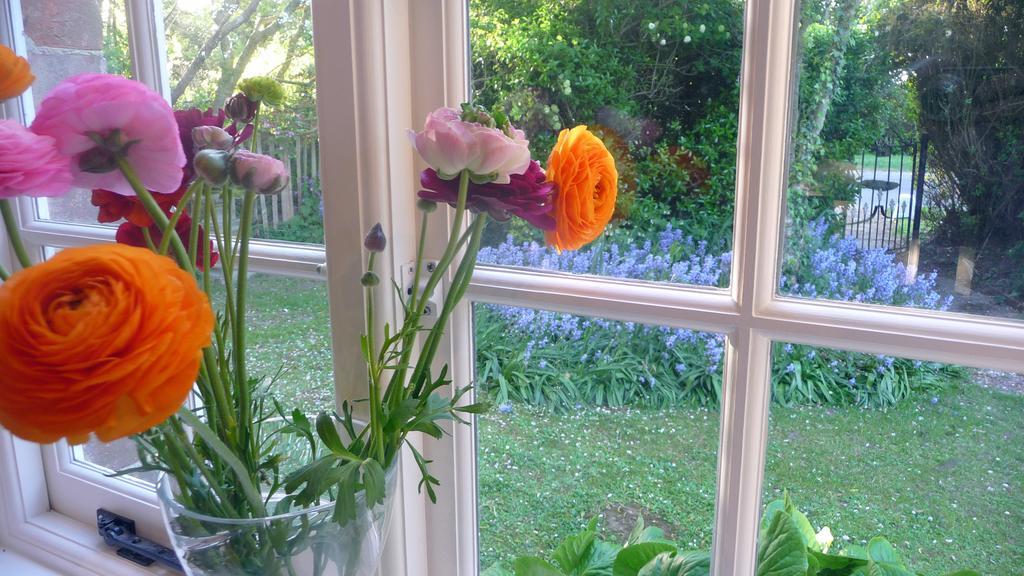Lockgate Dairy Bed & Breakfast Chichester Dış mekan fotoğraf