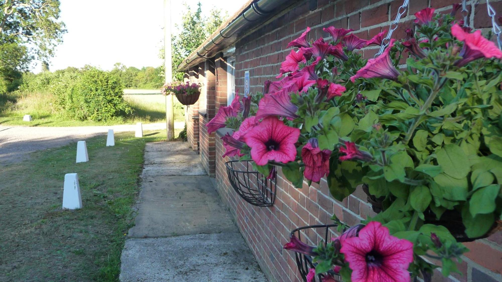 Lockgate Dairy Bed & Breakfast Chichester Dış mekan fotoğraf